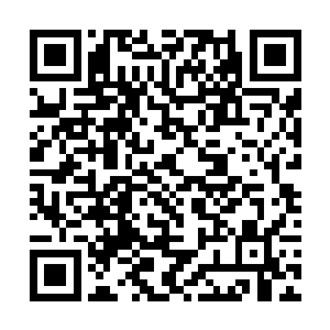 通道中的龙诗昊龙诗灵两兄妹仅仅是被波及一些边远二维码生成