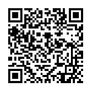 速度夹裹着外面清凉的风将他们的头发吹得乱七八糟二维码生成