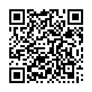 造气境二重的攻击已经达到了四石之力二维码生成