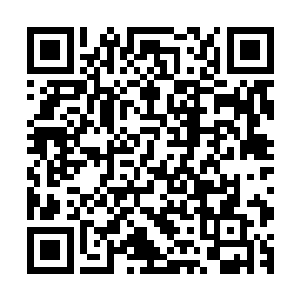 逼迫着她把原本不属于这个世界的东西一点一点的带到这里来二维码生成