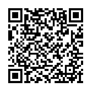 逼迫着自己签下如此屈辱的律令契约的小王八蛋二维码生成