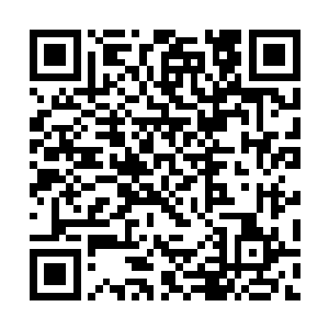 遂一群人又风风火火去了z市最豪华的酒吧――女娲二维码生成