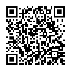 遇到了好的苗子便自行吸收成为他们家族中的后备力量二维码生成