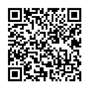 遇到了浑身是伤的呆爷带着吴荣洲一行人也是朝着我这边跑来二维码生成