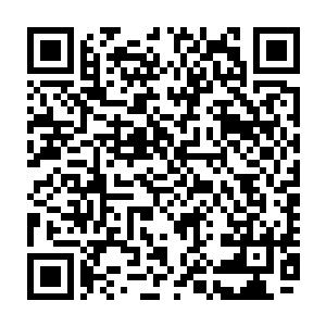 遇到整天想着飞上枝头做凤凰的姑娘那不是一个两个直接就是一乌秧一乌秧的二维码生成