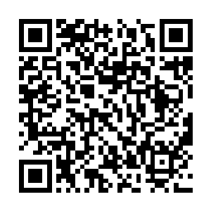 道兵和术师集群的冲锋出现在所有东灵州将士面前二维码生成