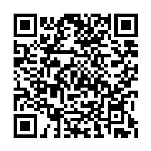 道具组才完成了袋底洞上方那颗大树的塑造工作二维码生成