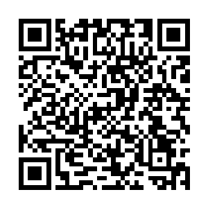 道友日后若是有幸在参加浮屠大会的时候被选中了二维码生成