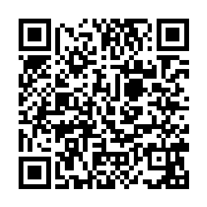 道友真以为这颗五千年的灵药可以换得十滴真龙之血二维码生成