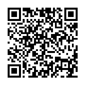 道域与道域的对拼最能见得一个势力的道兵和真人的质量二维码生成