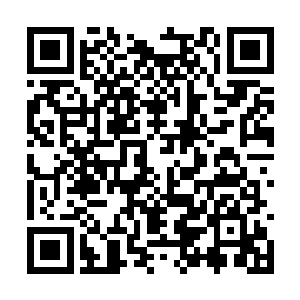 道心的强弱决定了你们能够担当起四大神王的馈赠二维码生成
