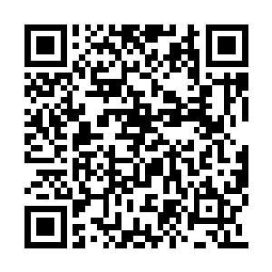遗忘之地洞天里屯积不知道多少改装外壳的物资二维码生成