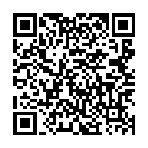 避免时间太久了有人做手脚导致难以查出最初的病因来二维码生成