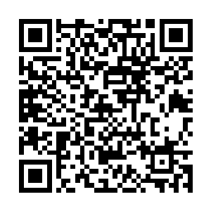 避难所之间也是勉强凭借传送法术交流信息的时候二维码生成