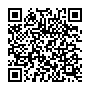 邓卓祥以及杨浩等其他的国内联赛球员在比赛中都敢做动作了二维码生成