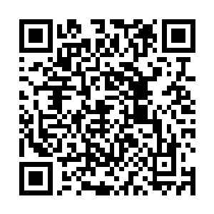 邢国寿还很少听到王自荣用如此口吻的话来赞誉一个人二维码生成