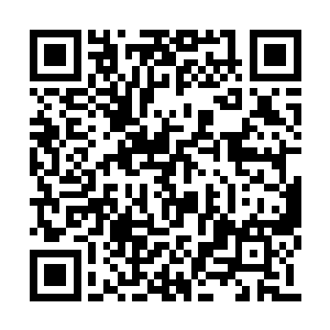 那……还有我师兄们今天钓过来的所有海兽晶核二维码生成