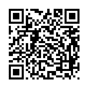 那一个个没有音讯结果的搜寻报告二维码生成