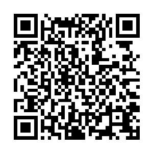 那一个个看似无用的基因纷纷呈现出丰富多彩的变异二维码生成