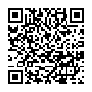 那一串串雪白变作金黄的血蛇肉散发出了醉人的香味二维码生成