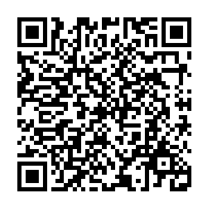 那一刀早已经将一位正在与玄冰对敌的道元境巅峰高手从头顶一直劈到了胯下二维码生成