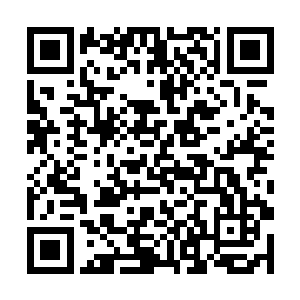 那一刻唐劫也终于明白发生了什么事――老树拼命了二维码生成