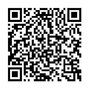那一团被嚼到化成一滩类似稀泥一般的黑色东西二维码生成