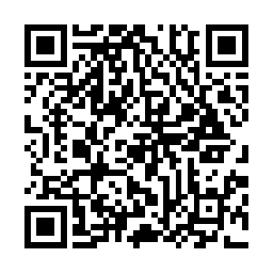 那一天同样是诸多阿修罗一族强者返回阿修罗海朝圣的日子二维码生成