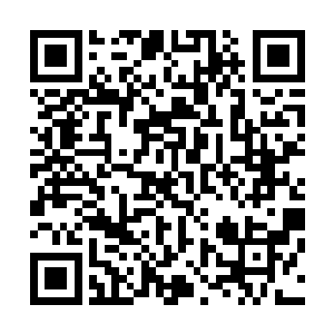 那一头及肩头发让人们只能看到他嘴角的那一抹不屑和倔强二维码生成