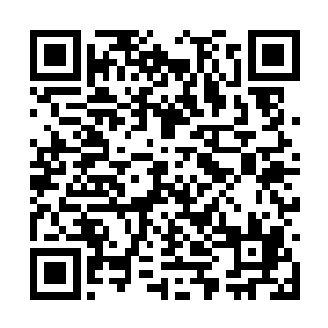 那一小堆蓝莓和山楂果就如同它们此刻的主人一样二维码生成