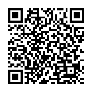 那一层层听起来很厉害阶位只是让弱者知道所应该所处的位置二维码生成