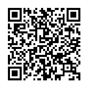 那一张脸更是惨白惨白的……刚才若不是秦方出手将他弄走的话二维码生成
