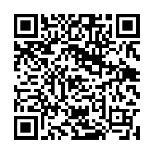 那一抹刀芒依旧在他的背上划出了一道长长的血痕二维码生成