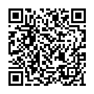 那一抹灿烂而阳光的笑容在雨果的脚步之下点燃二维码生成