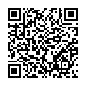 那一抹红色更是让她的强势包裹着让人难以忽视的魅力二维码生成