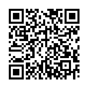 那一日她似乎听见鹰鸣声和闻见风中的墨香了二维码生成