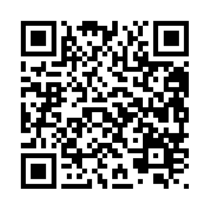 那一片广阔无垠生机勃勃的芦苇荡二维码生成