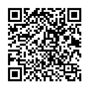那一胖一瘦的两个小道士正是这一代茅山正天派的外门弟子二维码生成