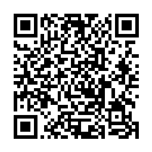 那一路奔赴至此的墨族域主显然是得到过同伴的提前叮嘱二维码生成