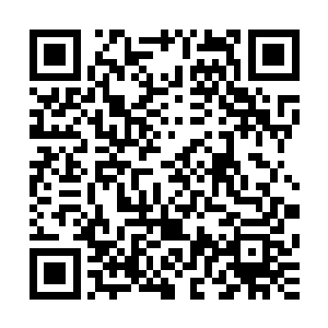 那一道道白练也就化作了一道近乎三米高的水墙重重席卷而来二维码生成