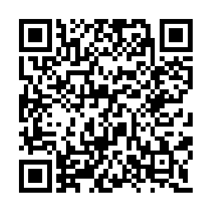 那七八个说话难听的修真者是来自同一个门派的二维码生成