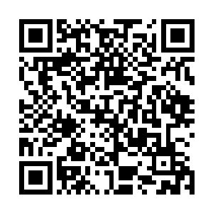 那万念佛堂此刻化作了一个巨大的古树直接没入了原始魔山二维码生成