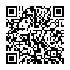 那万道光芒随着乾坤球的急速旋转照射在一个个许家修饰的身上二维码生成
