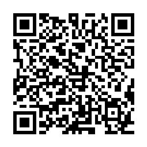 那万邪之主很有可能就是邪神的分身或者是邪神的一缕神魂所化二维码生成