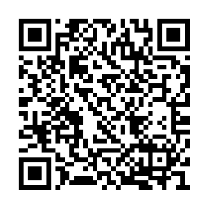 那三位大人和山神大人交谈一番后也没非要进来二维码生成