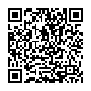 那三位老者连忙对晕过去的那两位老者惊呼喊叫二维码生成