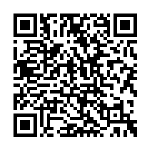 那三花帐上还是被白骨剑破开了一道细细的裂纹二维码生成