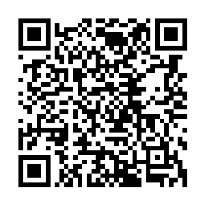 那三颗果实就像三个张铁以前小时候吃过的人形的巧克力饼干二维码生成