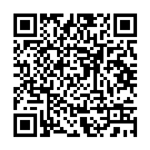 那不如挑选晋级考核医道类型的权利就交给大家吧二维码生成