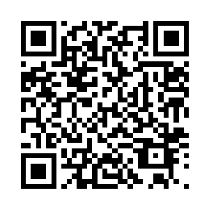 那不就是成为他的一条会咬人的狗吗二维码生成